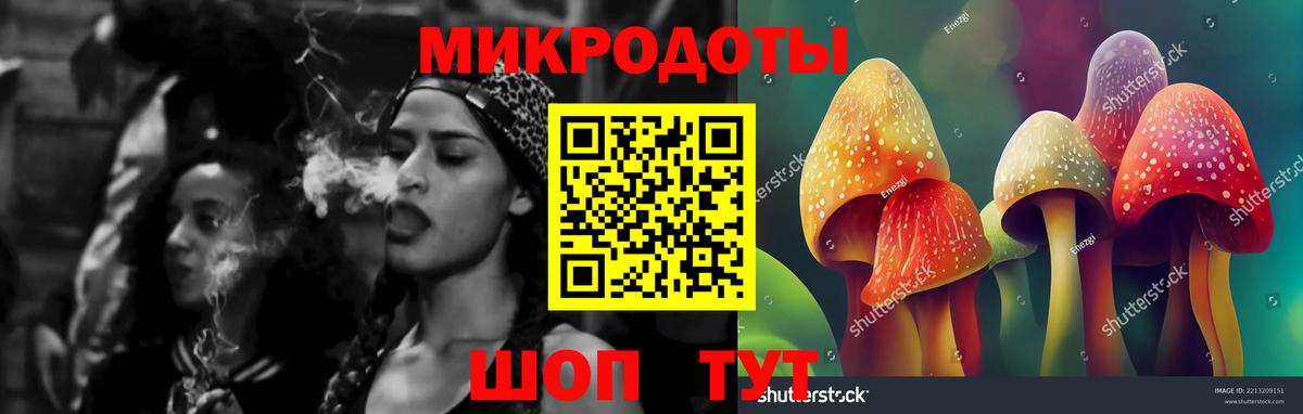 Галлюциногенные грибы Psilocybe  Вход с VPN  Лыткарино 